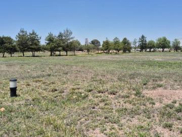 Terreno en Venta en Fraccionamiento Polo el Marques