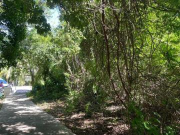 Terreno en venta en Fraccionamiento Playacar
