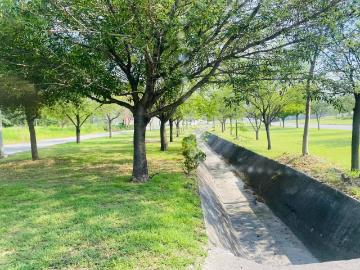 Terreno en Venta en Fraccionamiento Privado en Cadereyta