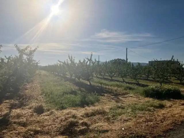Terreno en Venta en Fraga