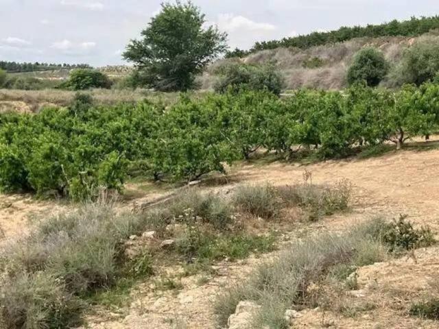 Terreno en Venta en Fraga