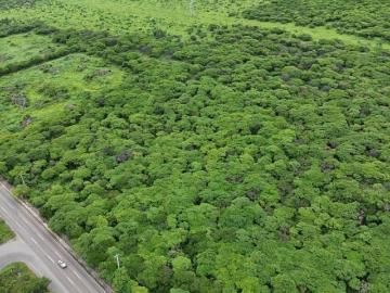 Terreno en Venta en Fray Junípero Serra