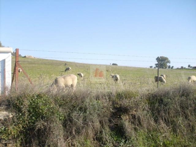 Terreno en venta en Fregenal de la Sierra, Fregenal De La Sierra