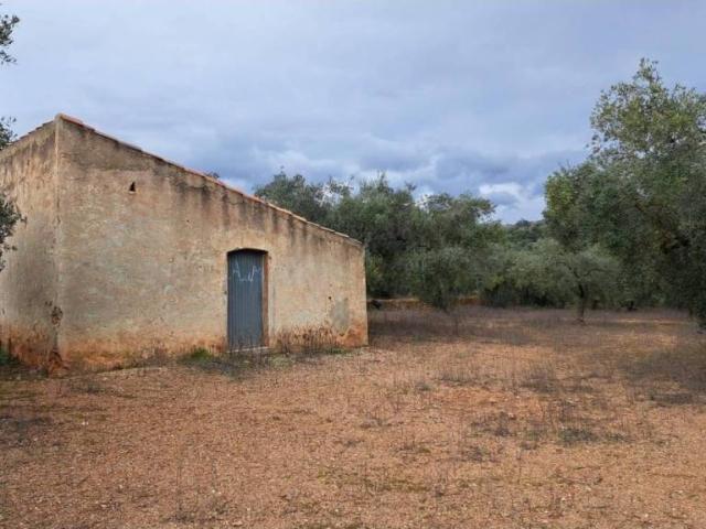 Terreno en Venta en Freginals