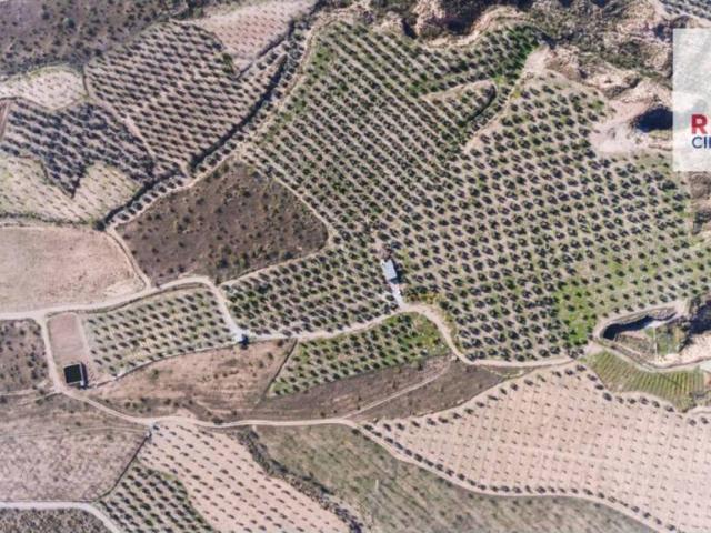 Terreno en Venta en Freila