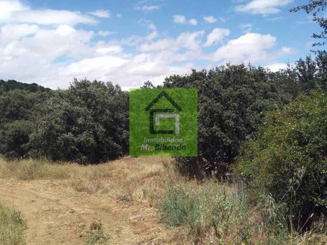 Terreno en Venta en Fresno de La Ribera