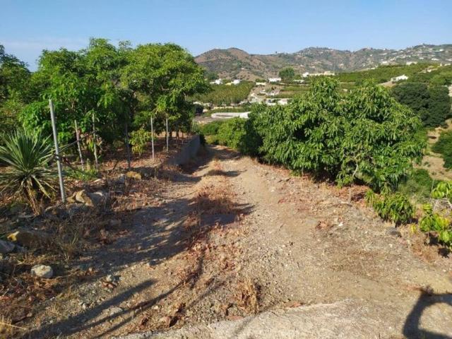 Terreno en Venta en Frigiliana