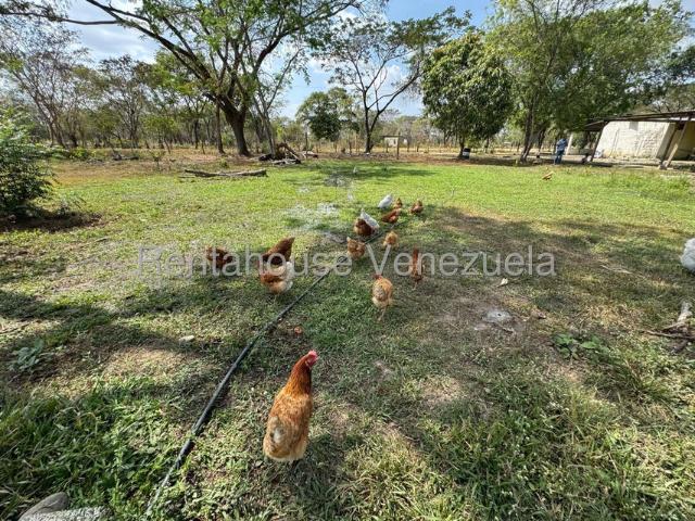Terreno en Venta en Guanarito, Guanarito