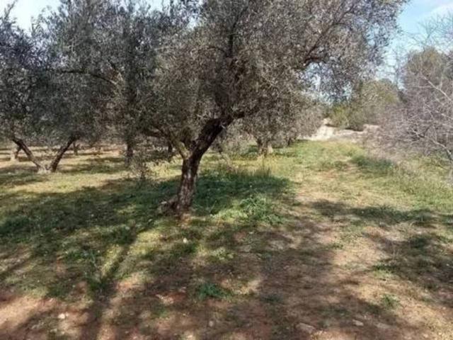 Terreno en Venta en Guadasequies