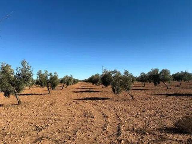 Terreno en Venta en Guadix