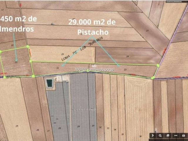 Terreno en Venta en Guadix