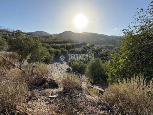 Terreno en Venta en Gualchos