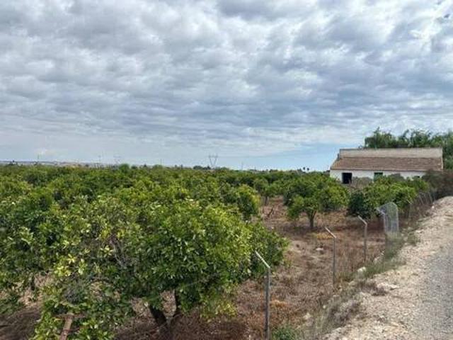 Terreno en Venta en Guardamar del Segura