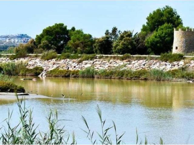 Terreno en Venta en Guardamar del Segura