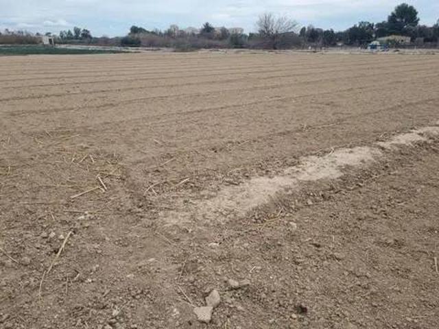 Terreno en Venta en Guardamar del Segura