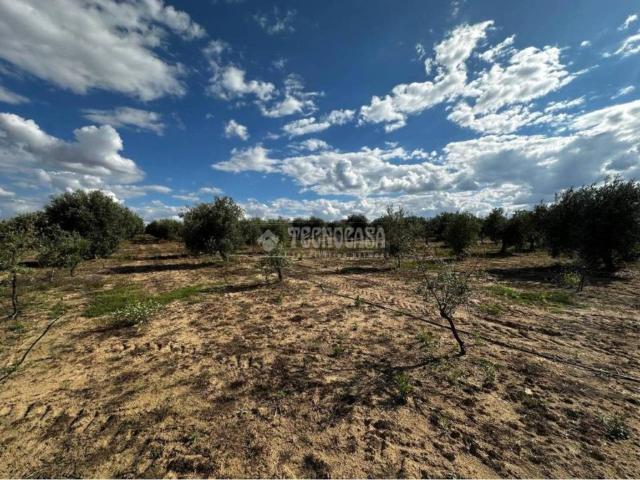 Terreno en Venta en Guareña