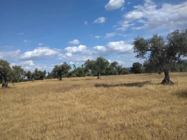 Terreno en Venta en Guareña