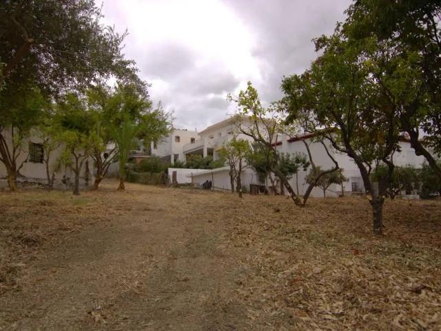 Terreno en Venta en Guaro