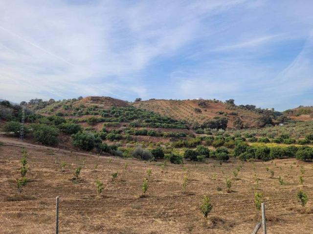 Terreno en Venta en Guaro
