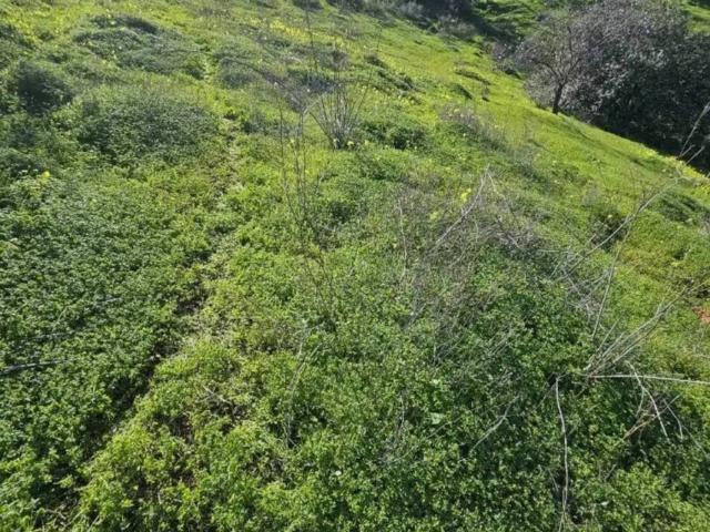 Terreno en Venta en Guaro