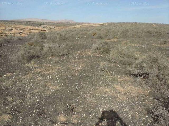 Terreno en venta en Guatiza