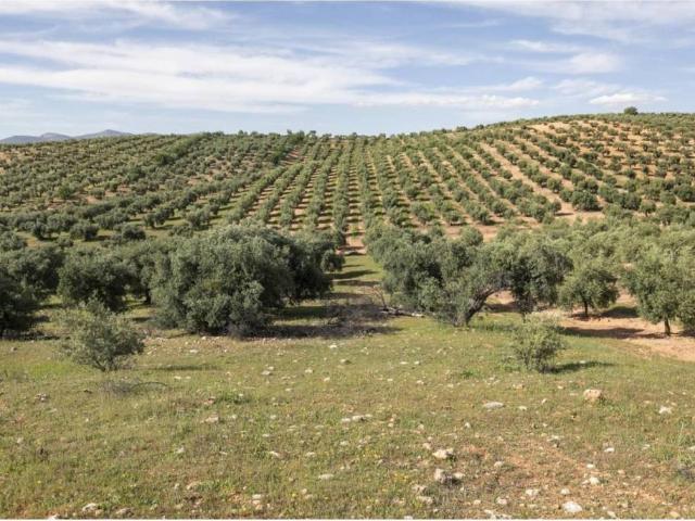 Terreno en Venta en Güevéjar
