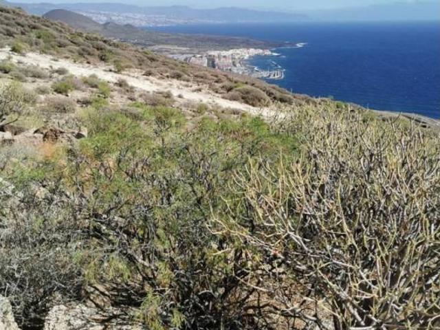 Terreno en Venta en Güímar