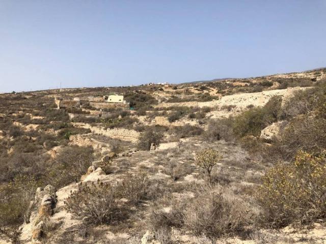 Terreno en Venta en Güímar