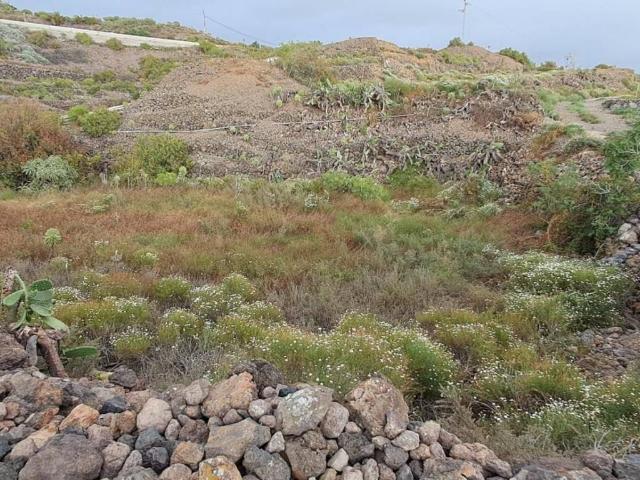 Terreno en Venta en Guía de Isora