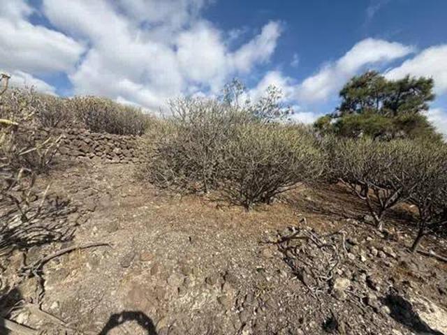 Terreno en Venta en Guía de Isora