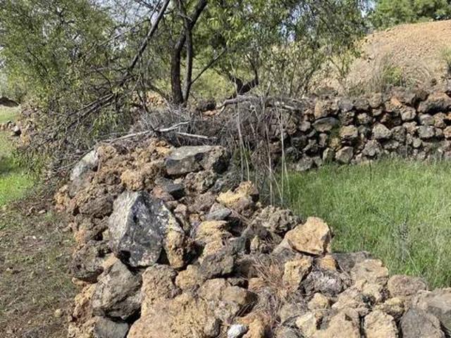 Terreno en Venta en Guía de Isora