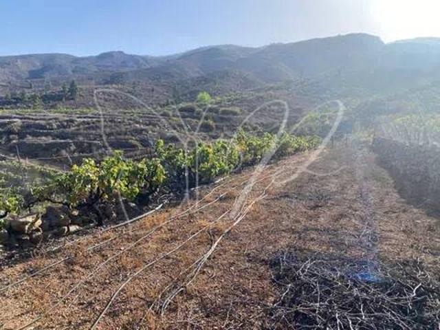 Terreno en Venta en Guía de Isora