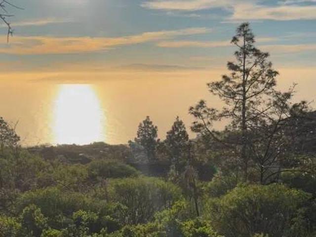 Terreno en Venta en Guía de Isora