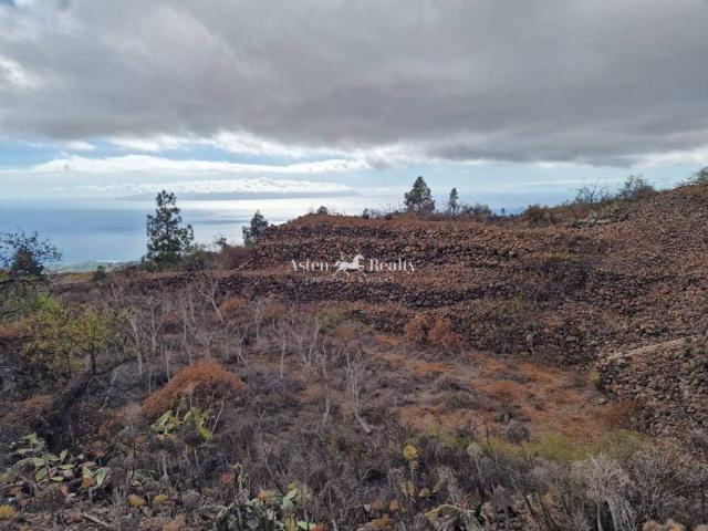 Terreno en Venta en Guía de Isora