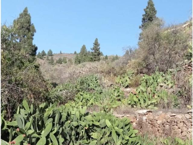 Terreno en Venta en Guía de Isora