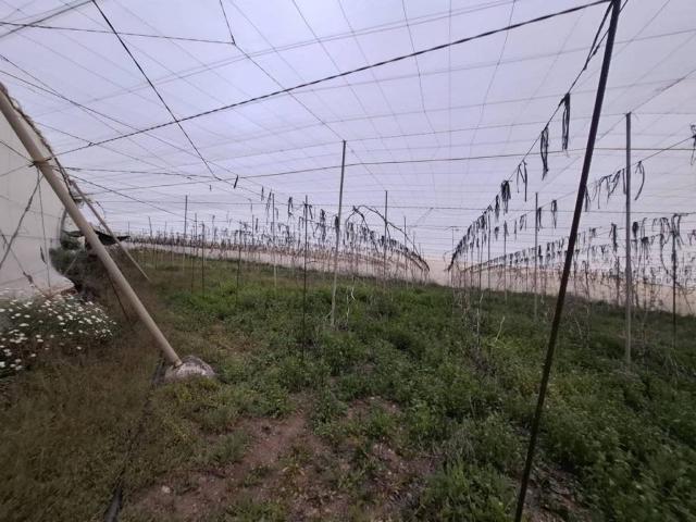 Terreno en Venta en Guía de Isora