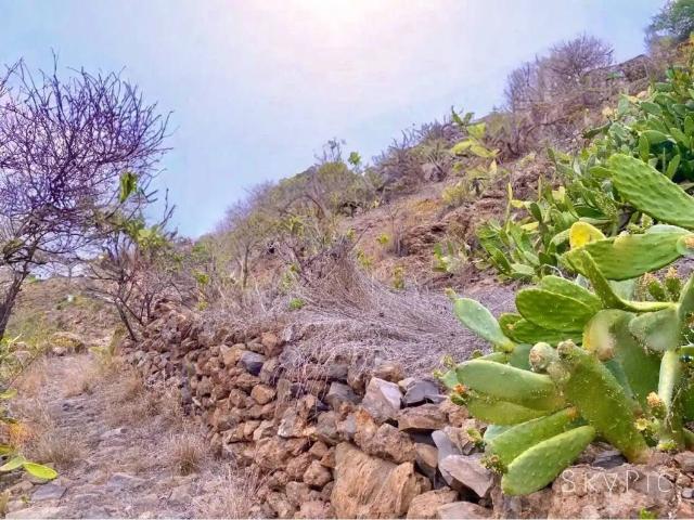 Terreno en Venta en Guía de Isora