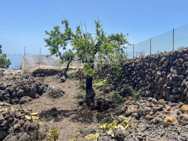 Terreno en Venta en Guía de Isora