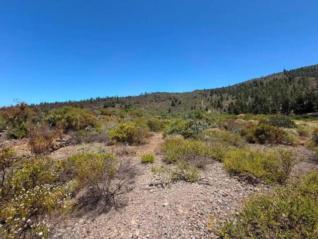 Terreno en Venta en Guía de Isora