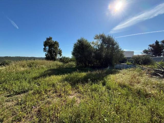 Terreno en venta en Guillena, Las Pajanosas