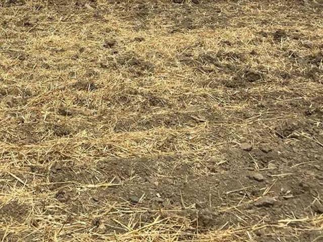Terreno en Venta en Guillena