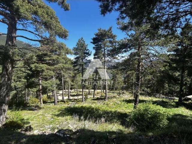 Terreno en Venta en La Coma i la Pedra