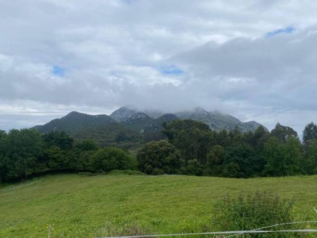 Terreno en Venta en Guriezo