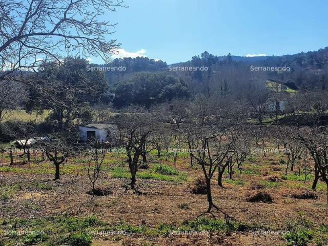 Terreno en venta en Galaroza