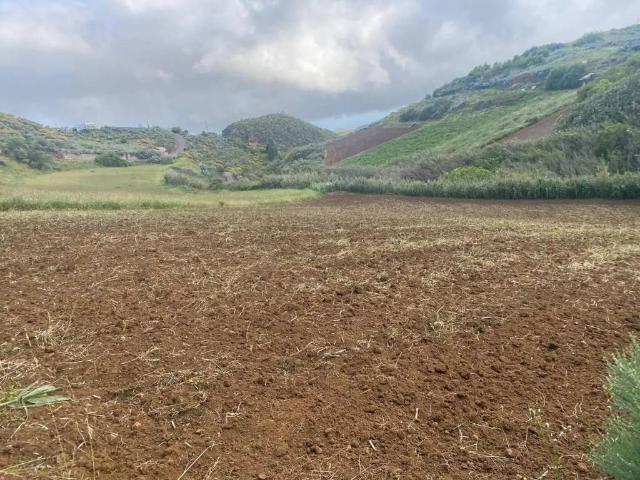 Terreno en Venta en Gáldar