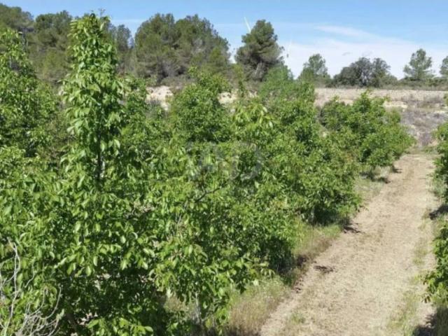 Terreno en Venta en Gandesa