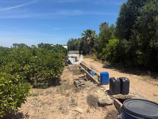 Terreno en Venta en Gandia