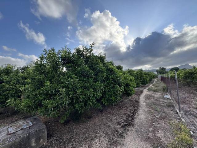 Terreno en Venta en Gandia