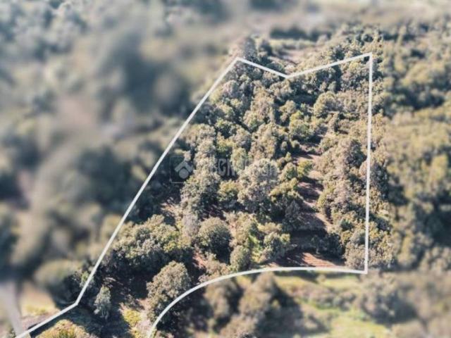 Terreno en Venta en Garachico