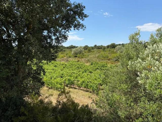 Terreno en Venta en Garriguella